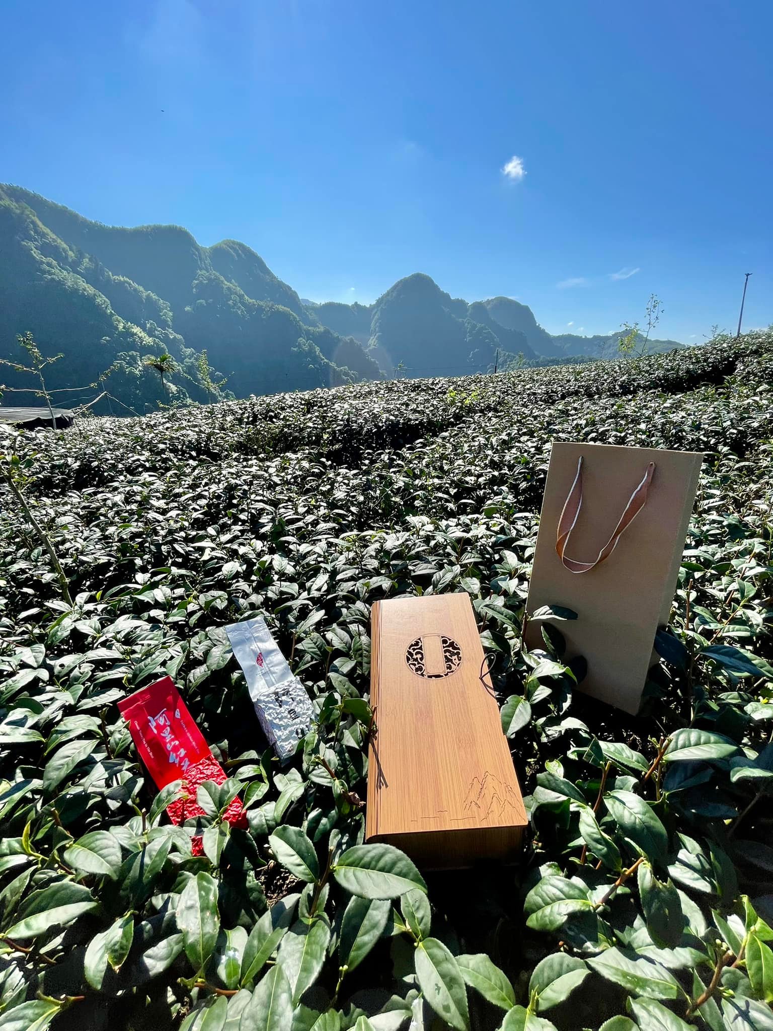 高山茶的檢驗中，最常被檢測的項目包含「農藥殘留」以及「重金屬含量」。